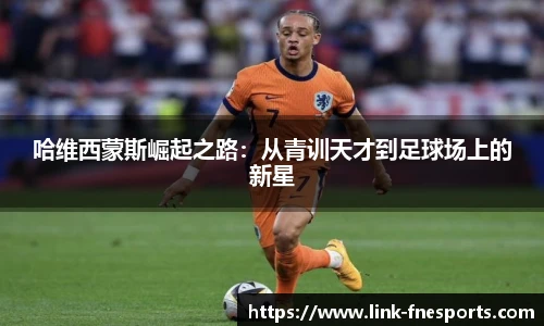 蜂鸟电竞官方网站